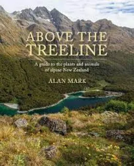 Above The Treeline
