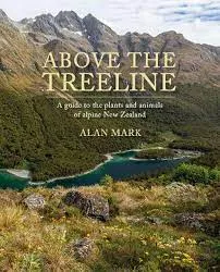 Above The Treeline