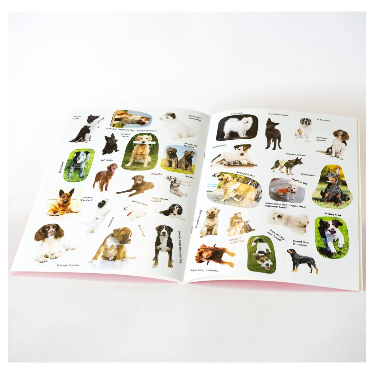Animal Detectives Dogs Sticker Book
