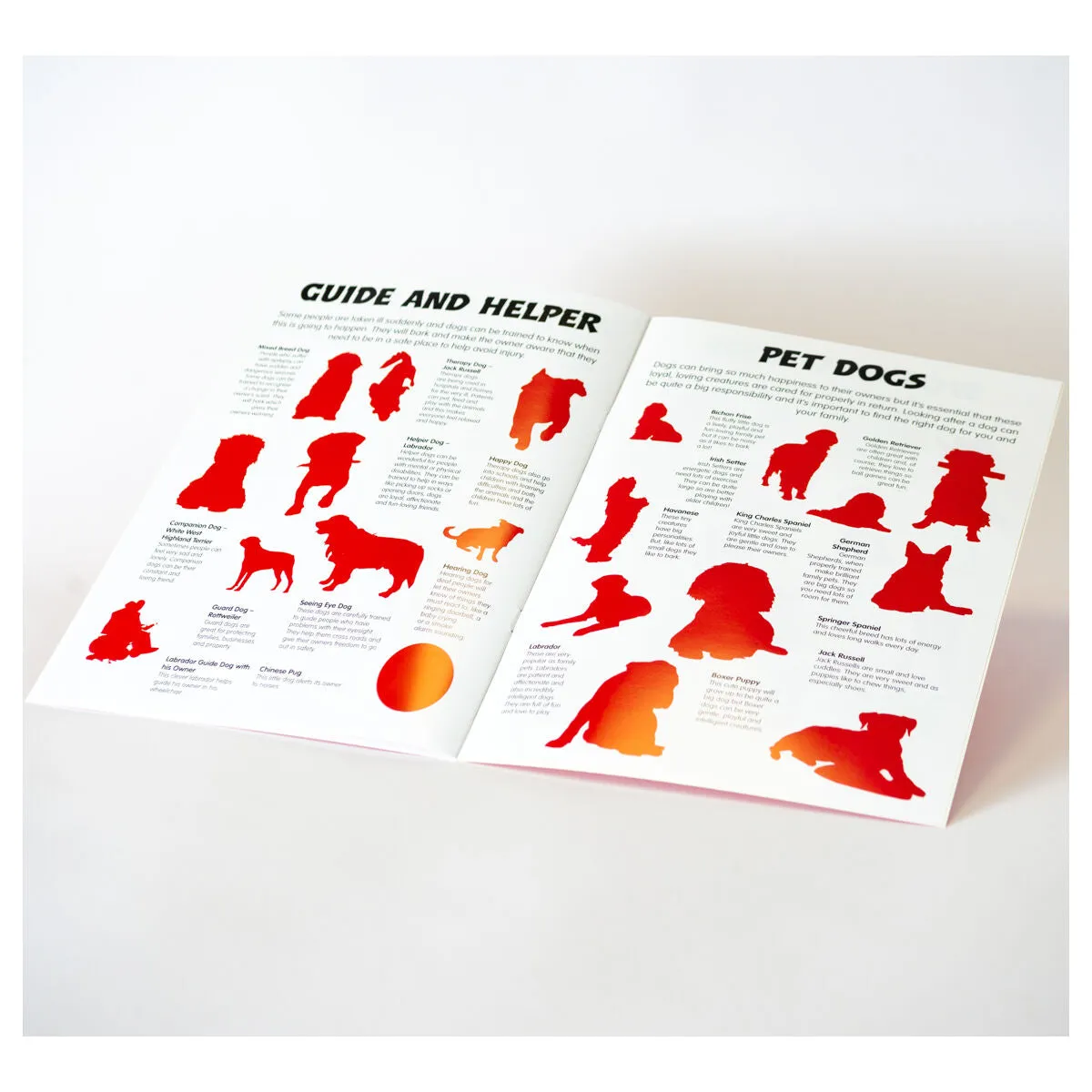 Animal Detectives Dogs Sticker Book