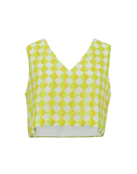 Ari Electric Sunshine Crop