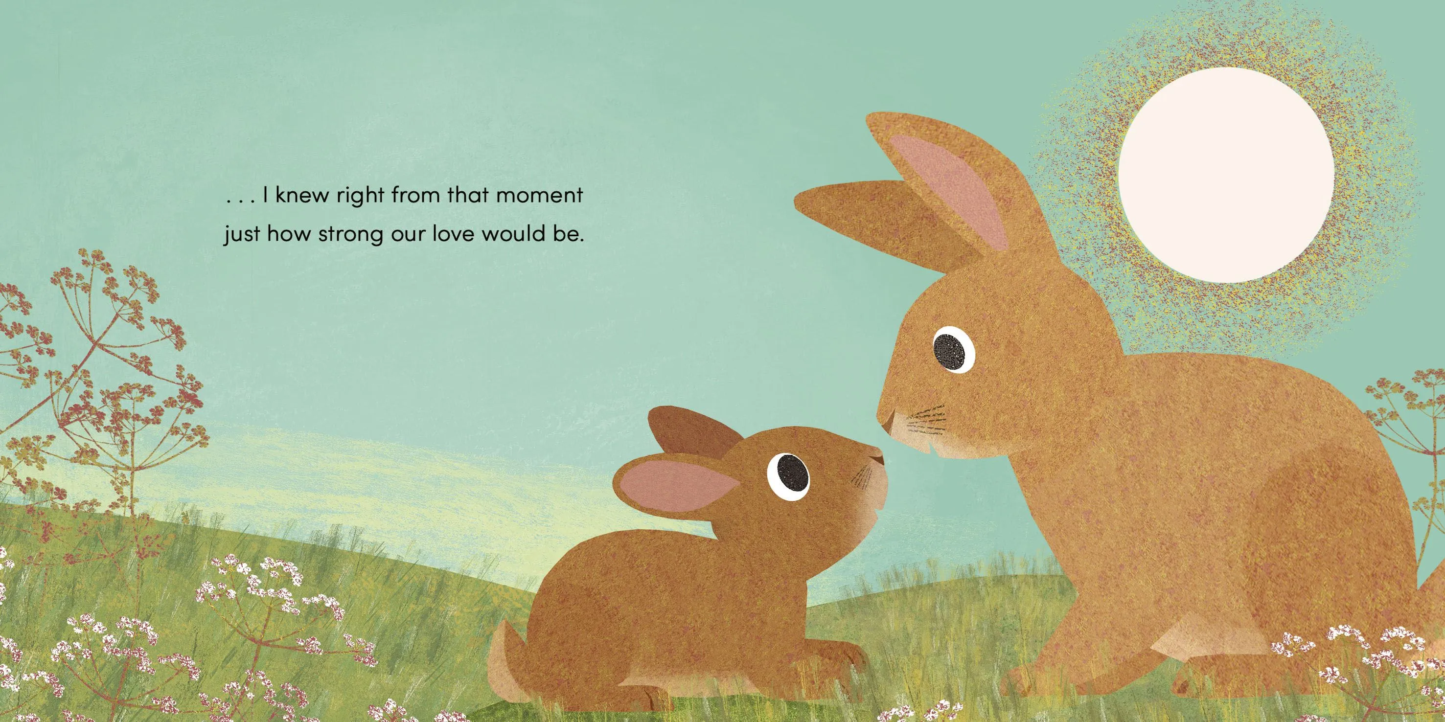 Book -  When I Became Your Mummy