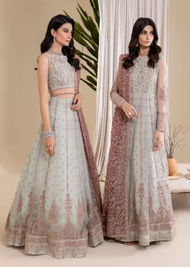 Chinnon Chifffon 2023 by Iznik | CC-27 - ARYANAA