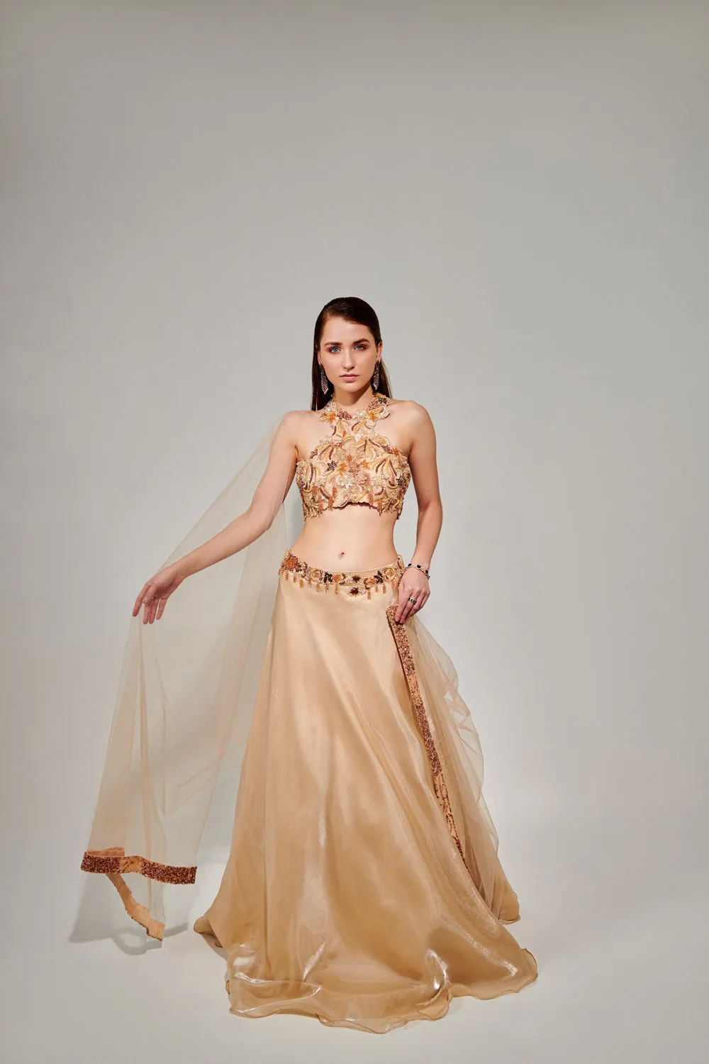 Cutwork Halter Neck Blouse & Lehenga