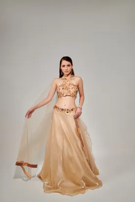 Cutwork Halter Neck Blouse & Lehenga