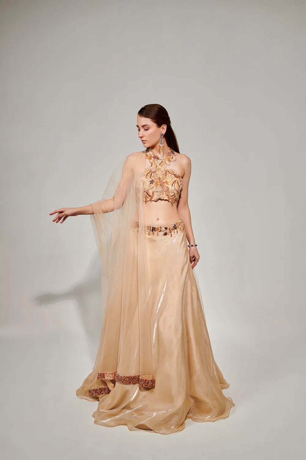 Cutwork Halter Neck Blouse & Lehenga