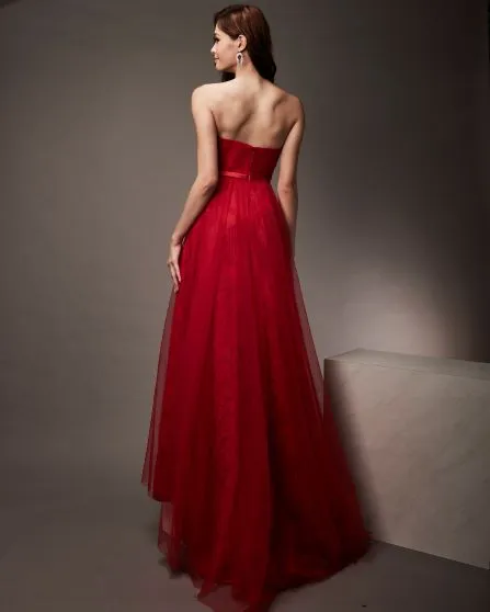 Lace Tube Gown