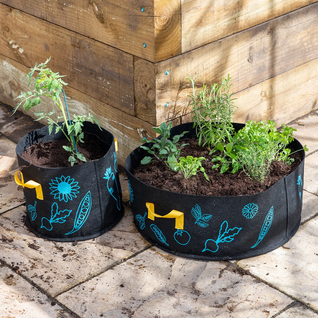 Outdoor Planter, Small - RHS Growing Gardeners
