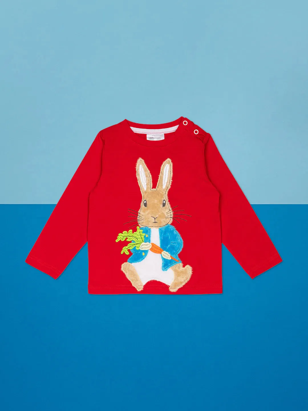PETER RABBIT- BRIGHT IDEAS TOP