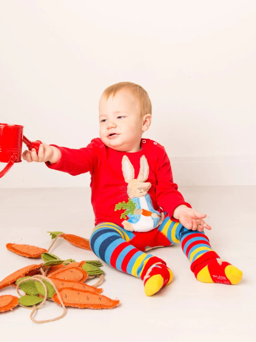 PETER RABBIT- BRIGHT IDEAS TOP