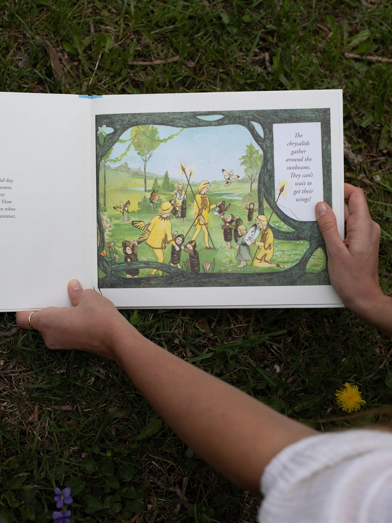 Sibylle von Olfers Books