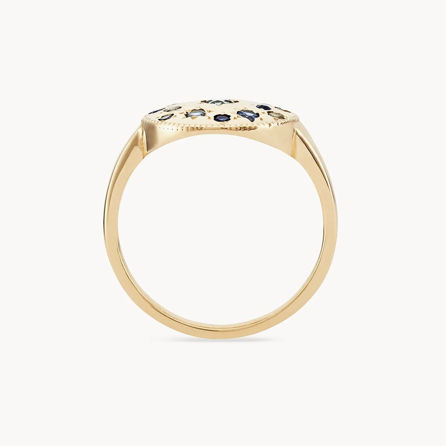 tie dye moonchild medallion ring - 14k yellow gold, blue sapphire