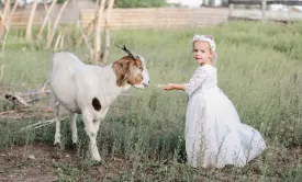 White - Sarah Lee 2 Pc  Long Sleeve Lace Top and Tulle Skirt Flower Girl Set